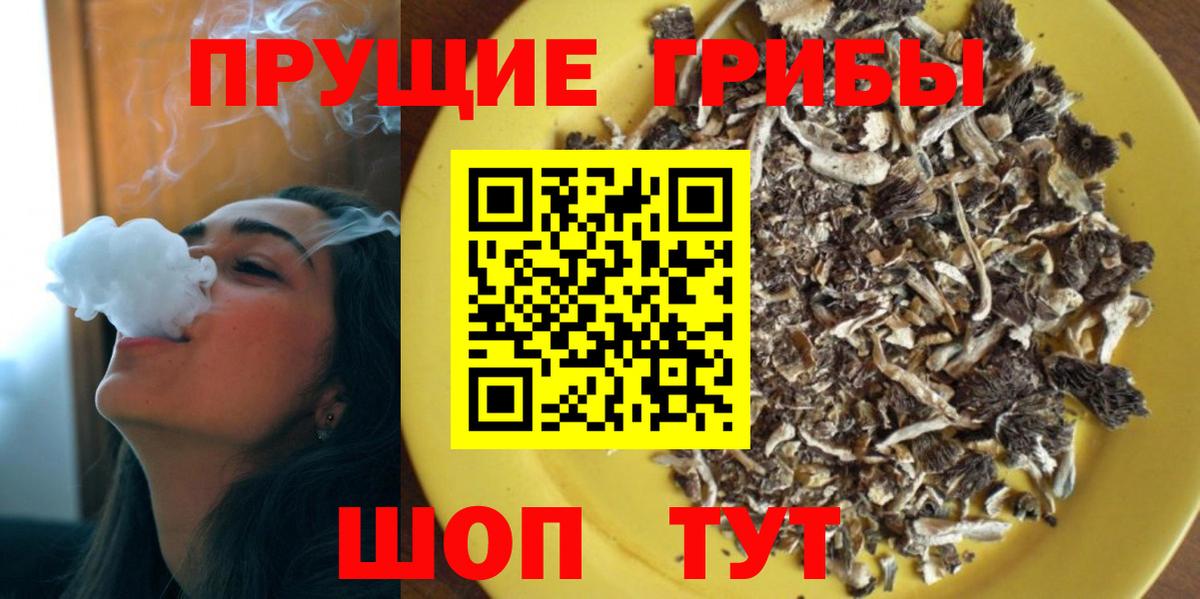 Псилоцибиновые грибы Magic Shrooms Кисловодск